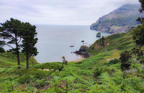 APARTAMENTO con Jardín en Bádames - Foto 36