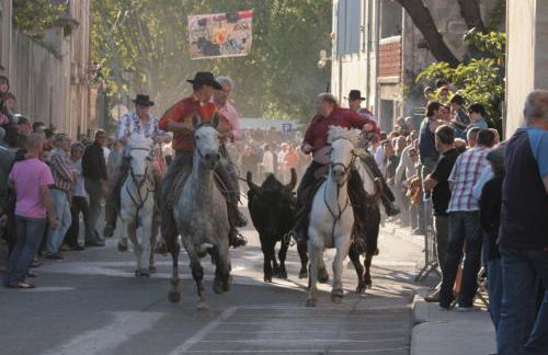 Gîte de vacances en Camargue ☆☆NN - Photo 17