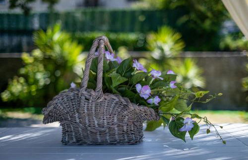 Quinta de Carvalhal - Casa da Vinha - Foto 31