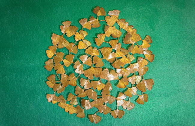 Villa Mandrioli Agriturismo - Foto 64