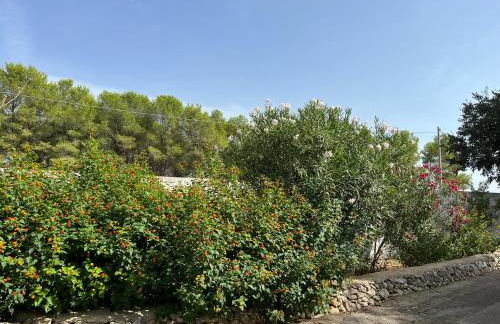 Casette Masseria La Camardia - Foto 56