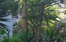 Ageri II Beach Front Apartment - Foto 35