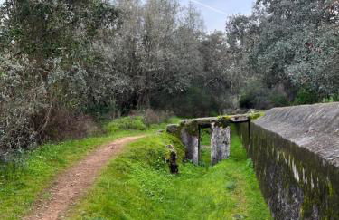 Quinta do Faisco - Photo 8