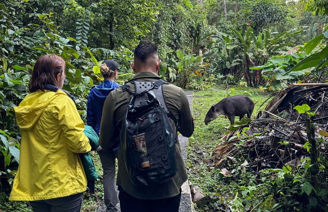 Biglietti per il parco Rainforest Atlantic - Foto 9