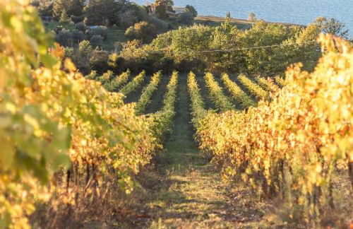 Poggio San Giacomo - Foto 30