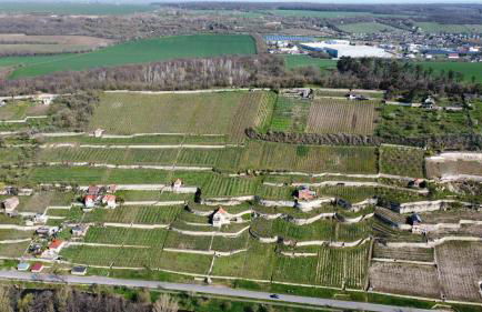 Ferienhaus Traminer im Weinberg - Foto 14