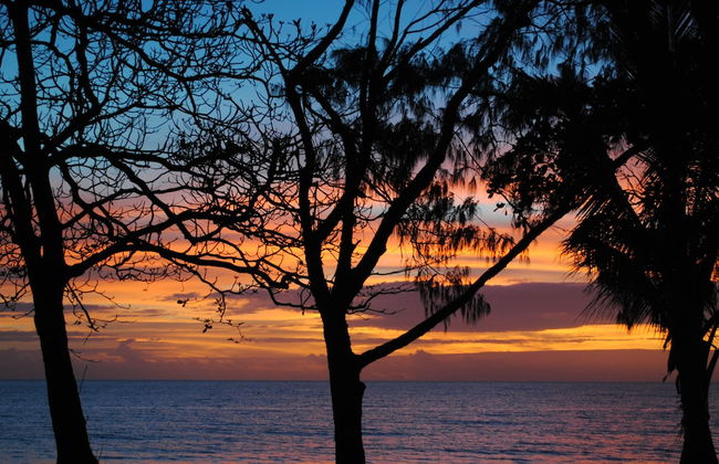 BeachView Apartments at Villa Paradiso - Photo 44