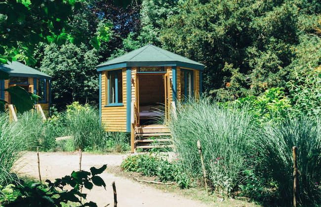 West Lexham Wellness and Retreat Centre - Foto 39