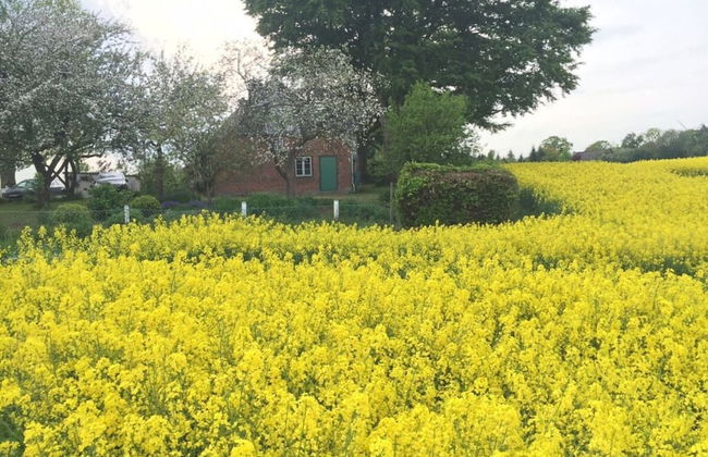 Country House Landlust - Foto 23