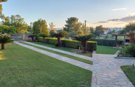 Studios Voula - Foto 3