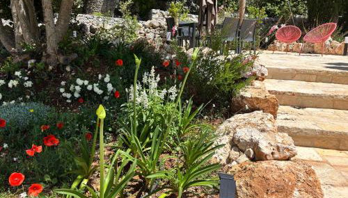 Villa with terrace view on the trulli - Foto 2, Garden
