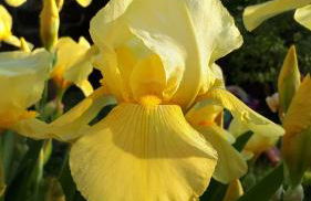 Casa di Giulia (Bambini gratis fino a 6 anni) - Foto 37