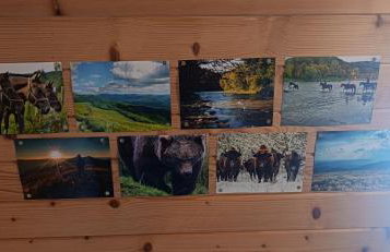 Bieszczadzka Chatka Gosia - Off Road , Quady , Jazda Konna - Foto 6