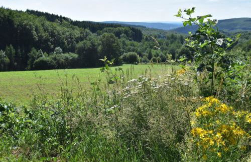 Elegant Family Home in Bouix - Foto 40