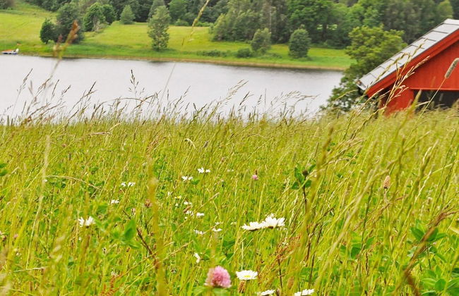 4 Person Holiday Home in Frandefors - Foto 17