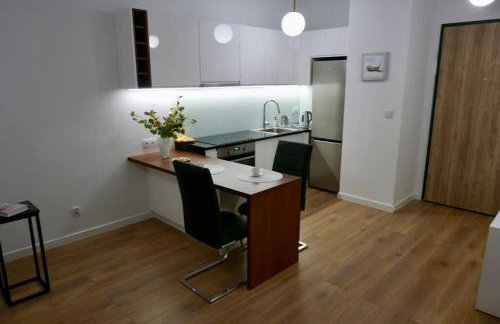 Kieślowskiego Apartment vis-a-vis Town Hall - Foto 2