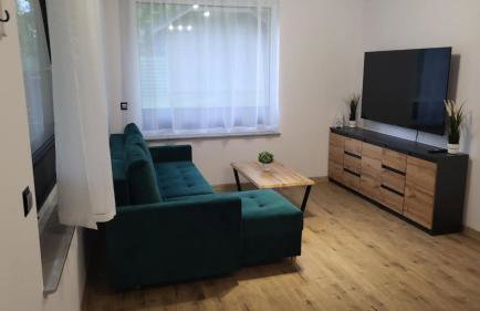 Zielone Domki Morze i Jezioro - Foto 45