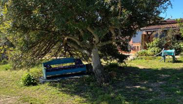 Terra - Foto 3, Garden view