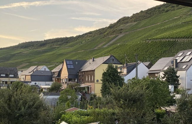 Uitzicht op de Wijngaard - Photo 17