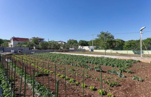 Ferienhaus - Villa Delic - Makarska Exklusiv - Photo 24