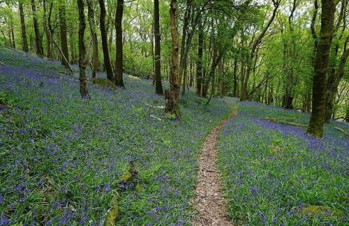 The Riverside Tailor's Retreat at Wray - Foto 52