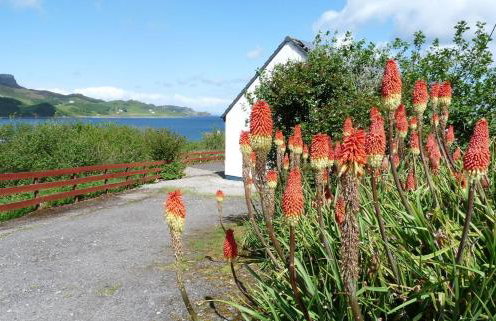 Ewen's House - Foto 26