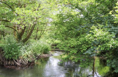 Skiber Coombe - Photo 35