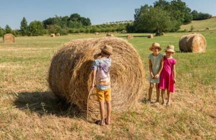 Grande Maison de famille, 12pers, Piscine privée, Vallée du Lot & Bastides - Foto 56