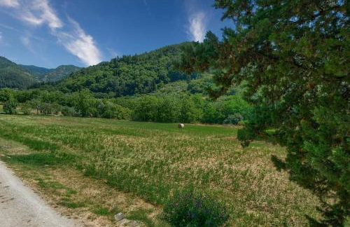 L'aia dì Trippa all'Aria Mugello - Photo 16