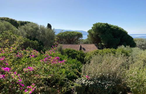 Chez Jean Claude la villa des amis - Foto 64