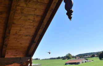 Ferienwohnung beim Hainz - Foto 42