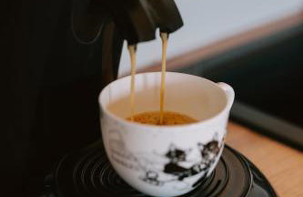 Brzozowa Osada - Foto 28