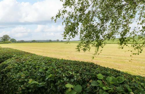 12 Field View - Foto 37