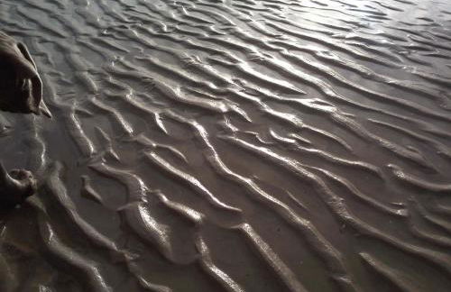 Feriendomizil-Usetom - Foto 9