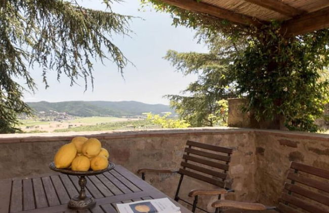 House in Tuscany With Pool & Olive Grove Views - Foto 24