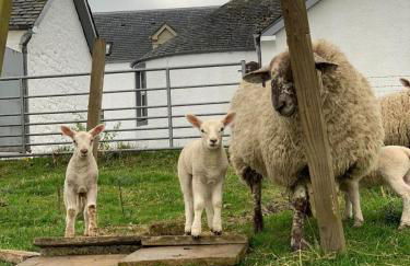 South Doll Farm Cottage - Foto 43