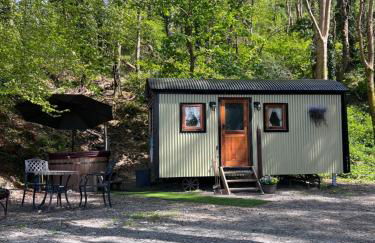 Romantic Shepherds Hut with Hot Tub in The Heart of Snowdonia - Foto 2