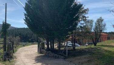 Quinta dos Cedros l Turismo Rural - Foto 4