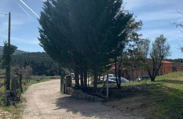 Quinta dos Cedros l Turismo Rural - Foto 4