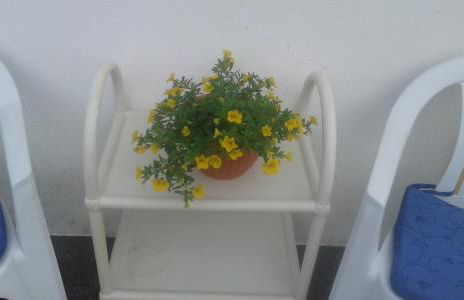 Vivenda Cinco Reis - Photo 27