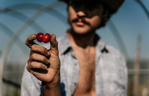 Borgo Casa Scaparone - Foto 27