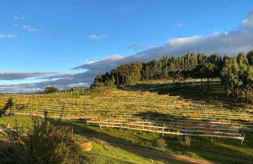 Tenuta Bergamaschi - Foto 37