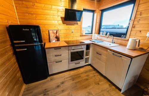 Nad brzozowym stawem - Foto 32