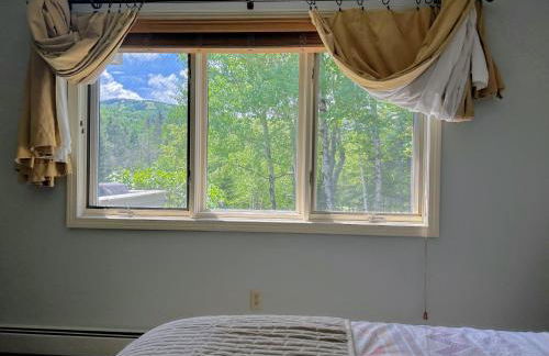 F8 Luxurious Mt Washington Hotel golf course home Wifi cable air conditioning - Foto 35