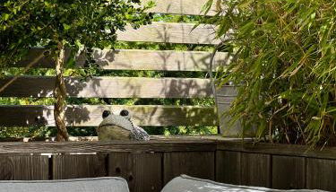 Ferienwohnung Teichblick - Foto 3