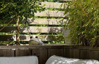 Ferienwohnung Teichblick - Foto 3