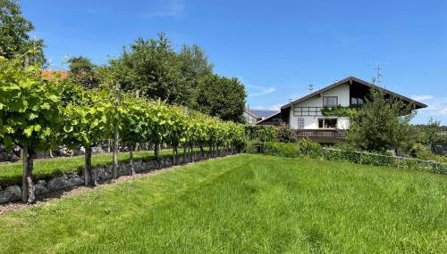 Apartment Am Weinberg - Photo 2