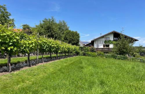 Apartment Am Weinberg - Foto 2