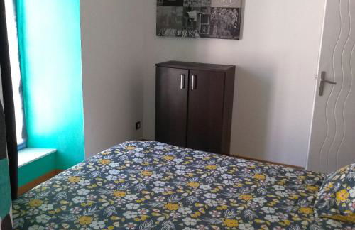 Agréable duplex au centre ville de Brioude - Foto 13