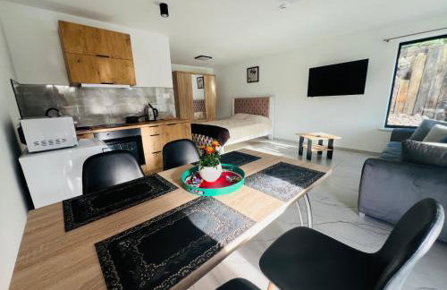 Domki i Apartamenty Wypoczynkowe z jacuzzi Lidzbark - Foto 49